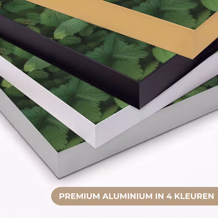 Art Frame - Groen - Bladeren - Kartel - Zonlicht — 2