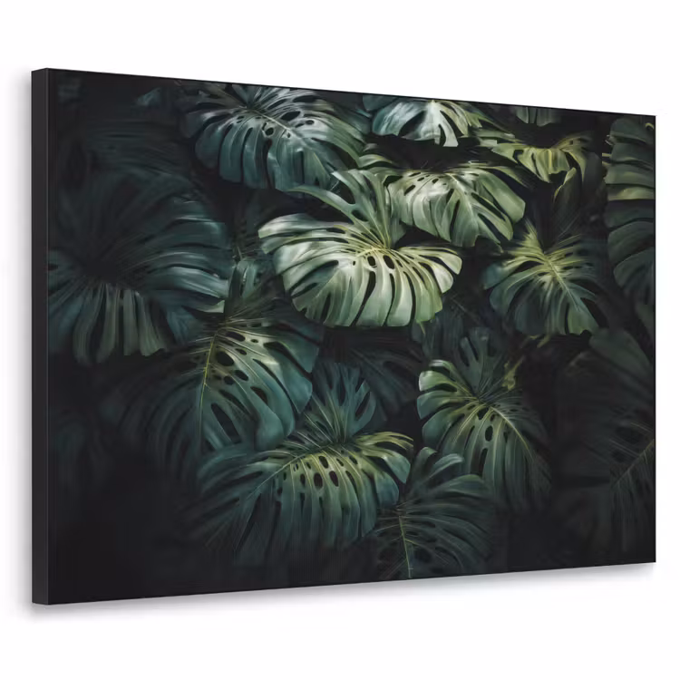 Art Frame - Plant - Monstera - Lichtinval — 1