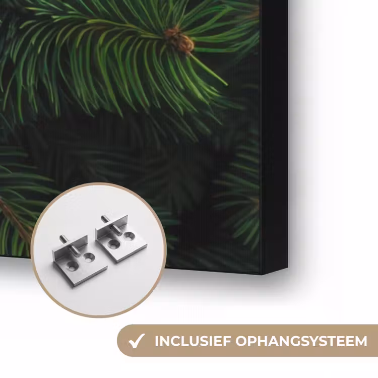 Art Frame - Sparrentakken - Knoppen - Naalden - Groen — 6
