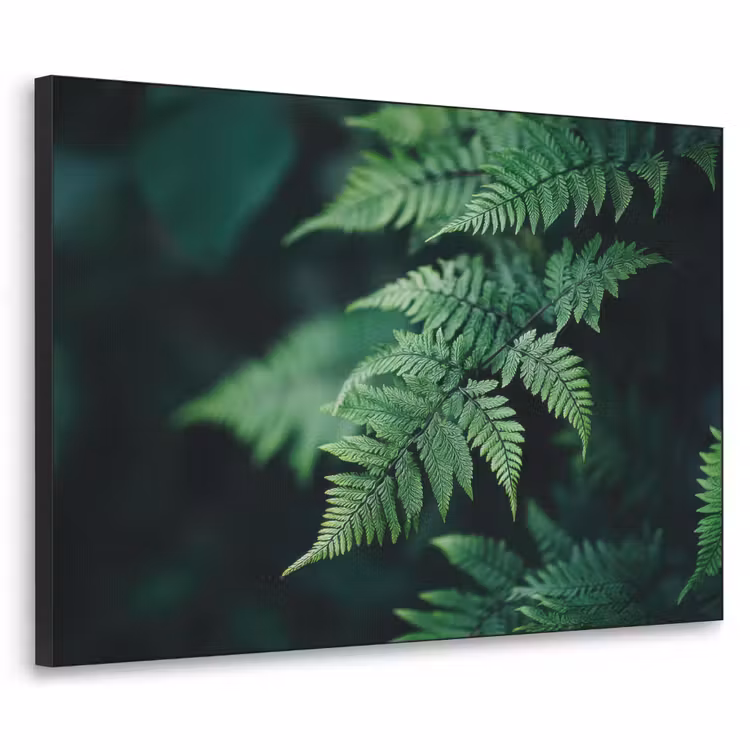 Art Frame - Varenblad - Groen - Structuur - Wazig — 1