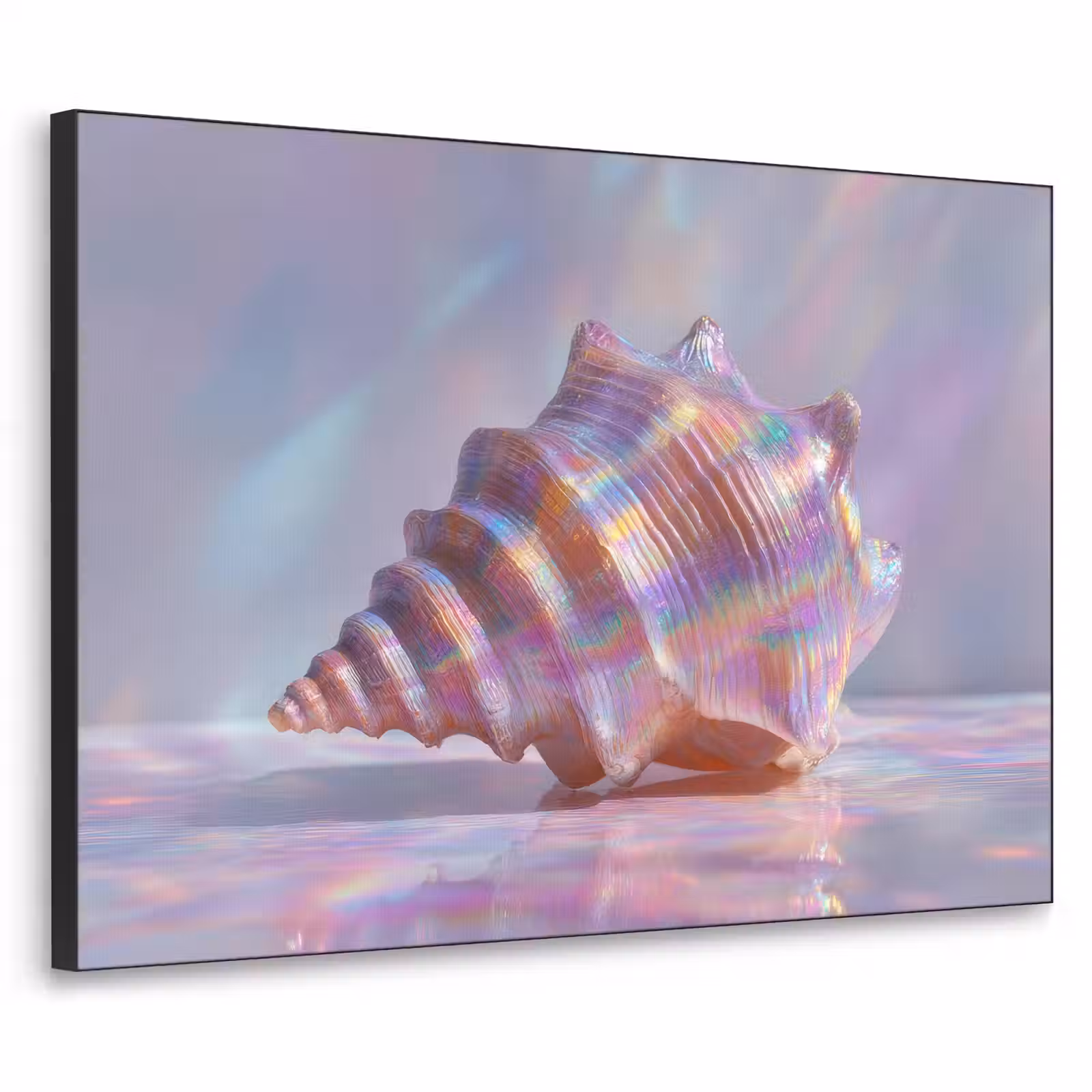 Art Frame - Schelp - Glanzend - Regenboogtinten — 1