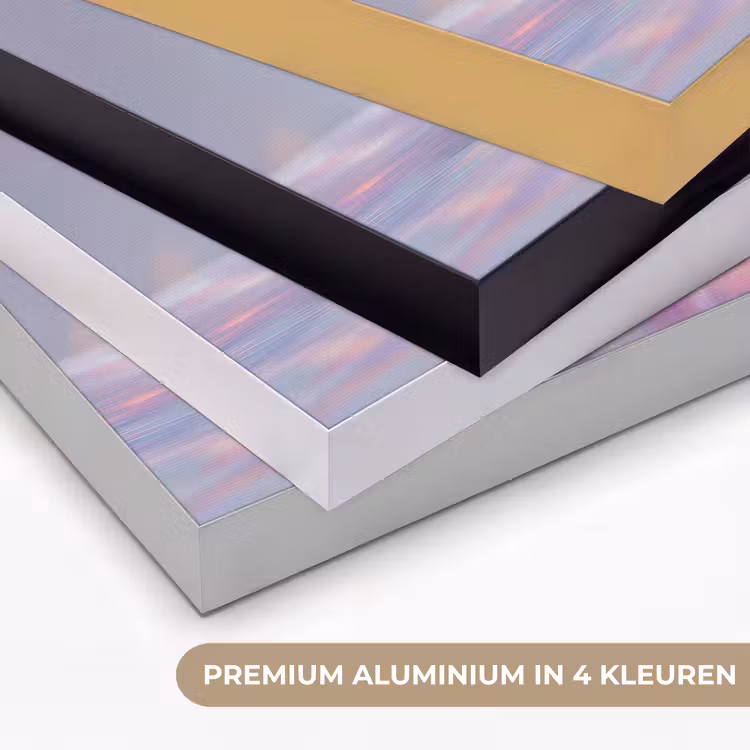 Art Frame - Schelp - Glanzend - Regenboogtinten — 2