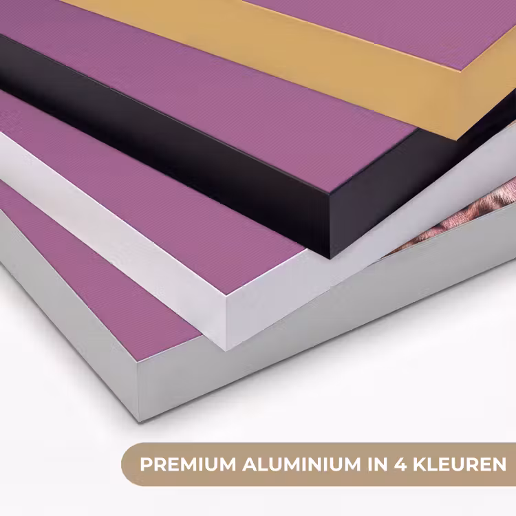 Art Frame - Panter - Zonnebril - Kauwgombel - Roze — 2