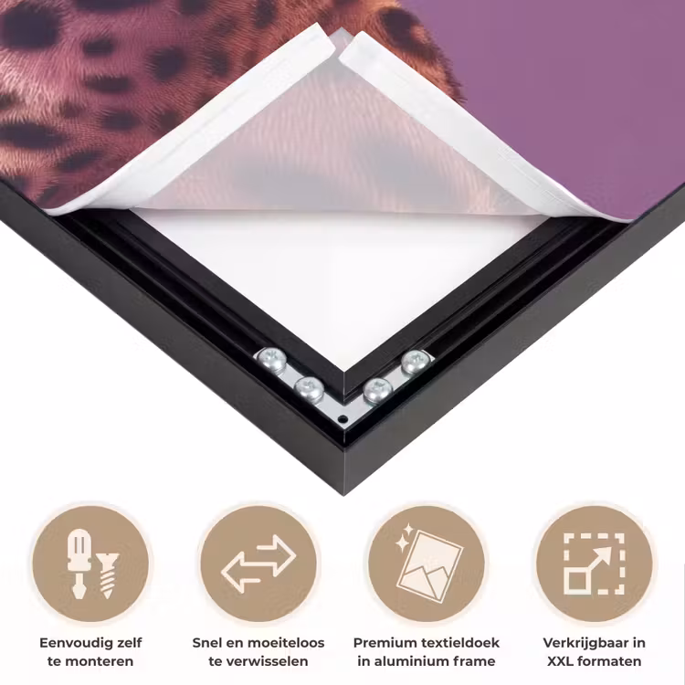 Art Frame - Panter - Zonnebril - Kauwgombel - Roze — 4