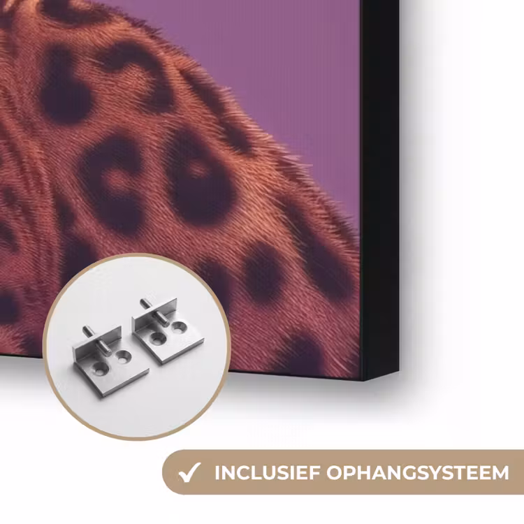 Art Frame - Panter - Zonnebril - Kauwgombel - Roze — 6