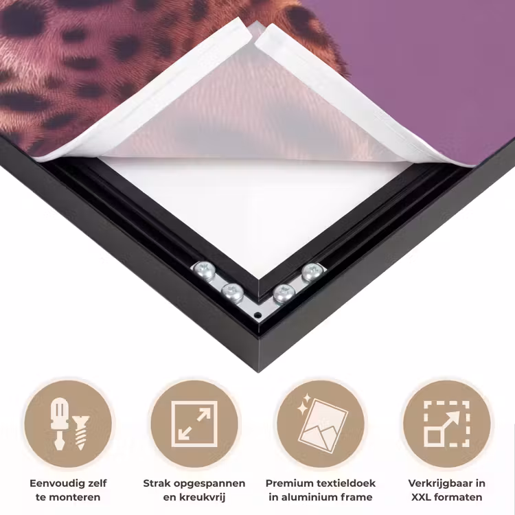 Art Frame - Panter - Zonnebril - Kauwgombel - Roze — 8