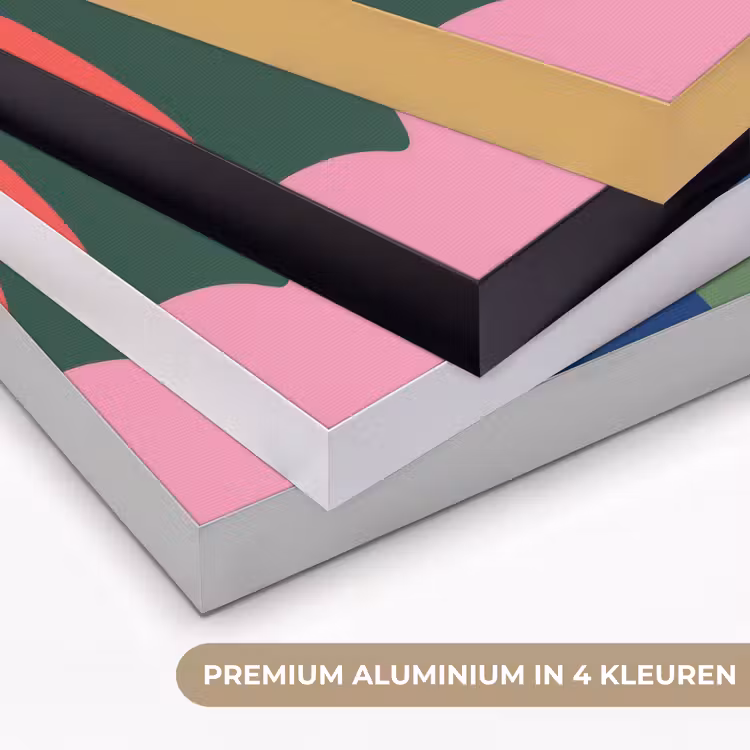 Art Frame - Kleurvakken - Recht - Rond - Abstract — 2