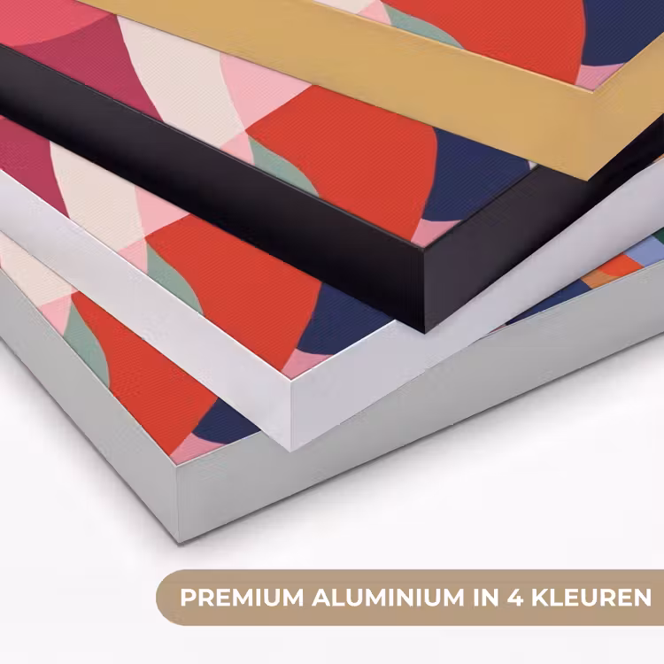 Art Frame - Vormen - Bochten - Kleurrijk - Abstract — 2