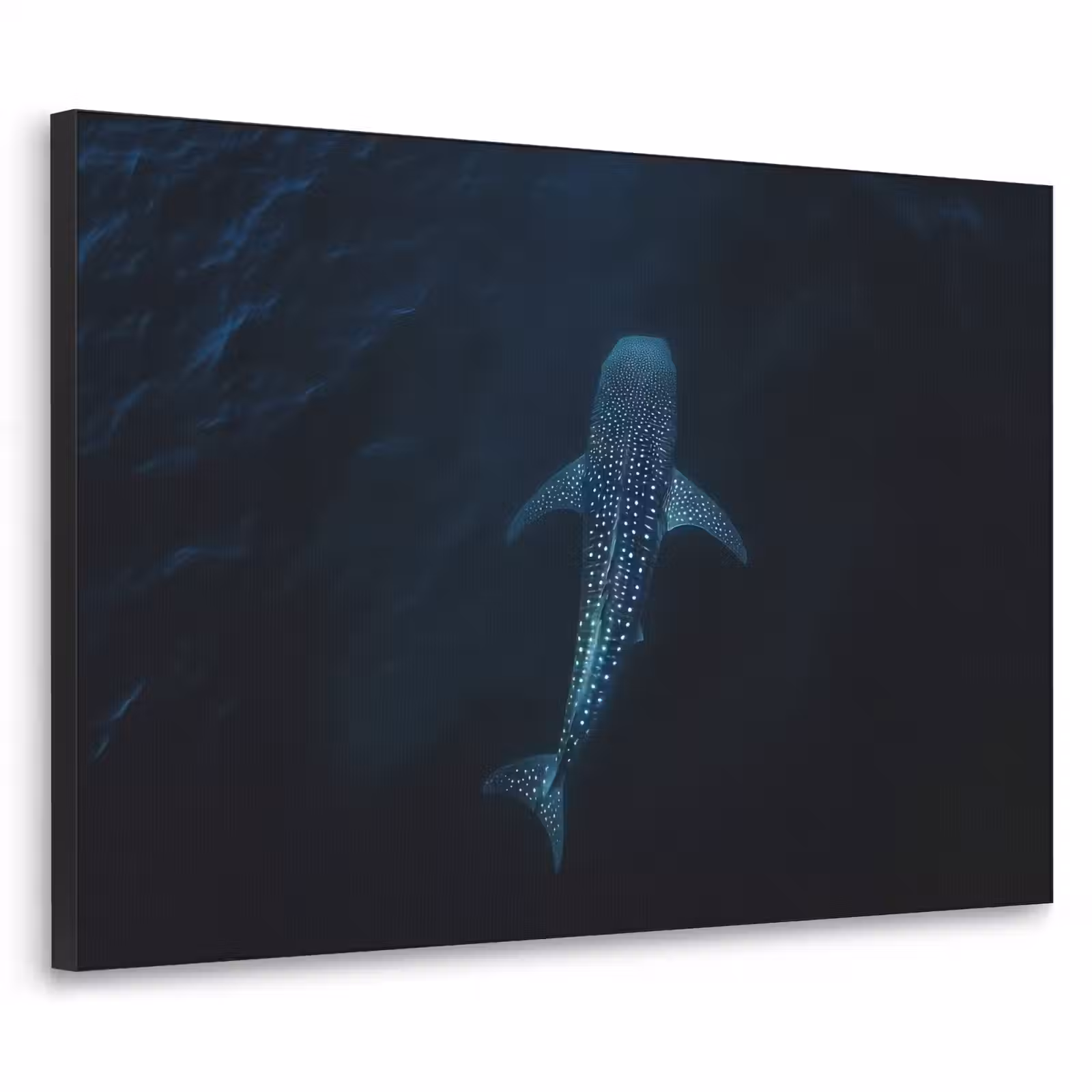 Art Frame - Oceaan - Walvishaai - Donkerblauw - Vlekken — 1