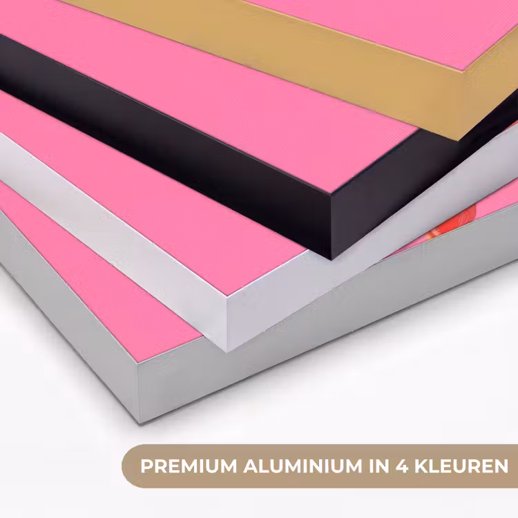Art Frame - Giraf - Roze - Bril - Sjaal — 2
