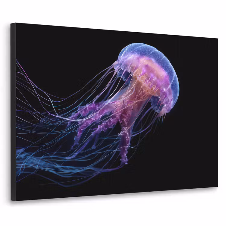 Art Frame - Kwal - Doorzichtig - Roze - Tentakels — 1