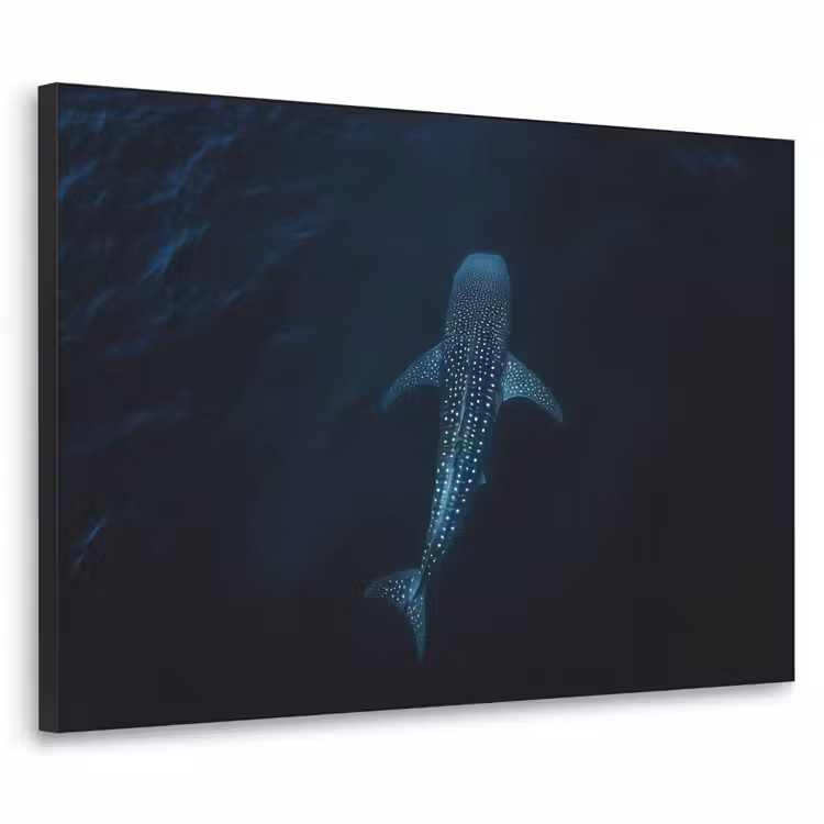 Art Frame - Oceaan - Walvishaai - Donkerblauw - Vlekken — 1