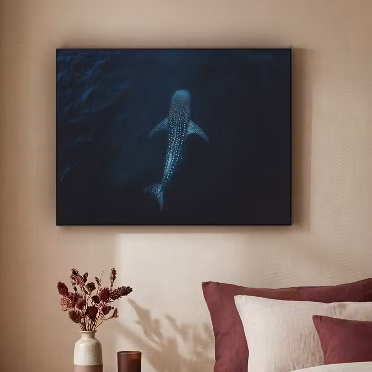 Art Frame - Oceaan - Walvishaai - Donkerblauw - Vlekken — 3