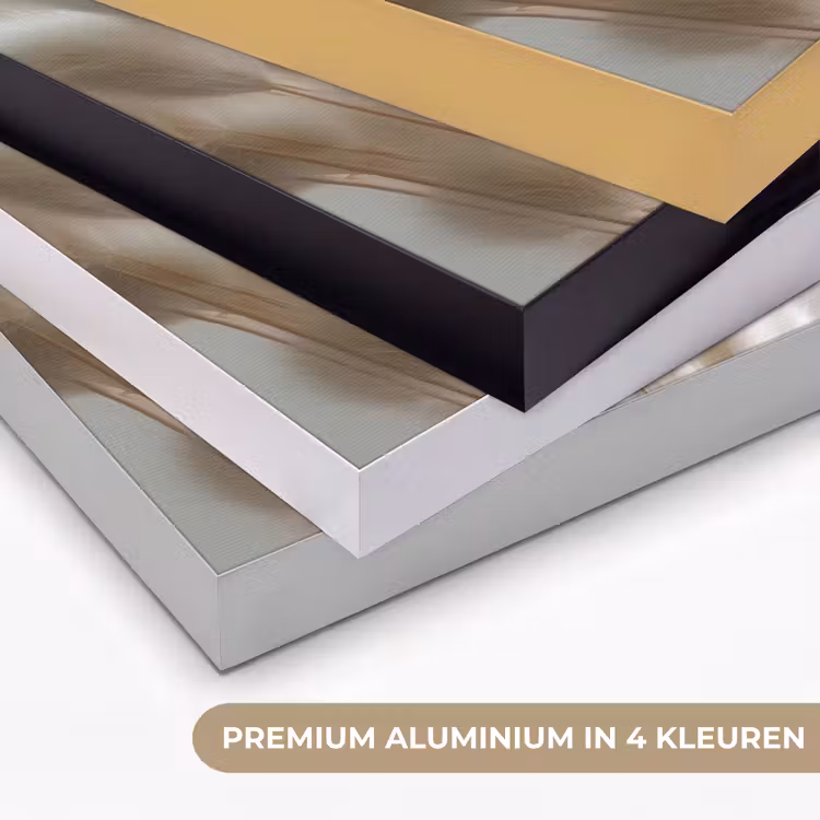Art Frame - Pluimen - Beige - Minimalistisch — 2