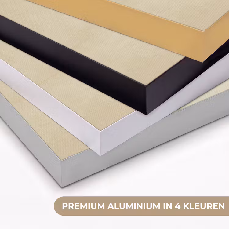Art Frame - Kleurrijk - Vis - Schubben - Illustratie — 2