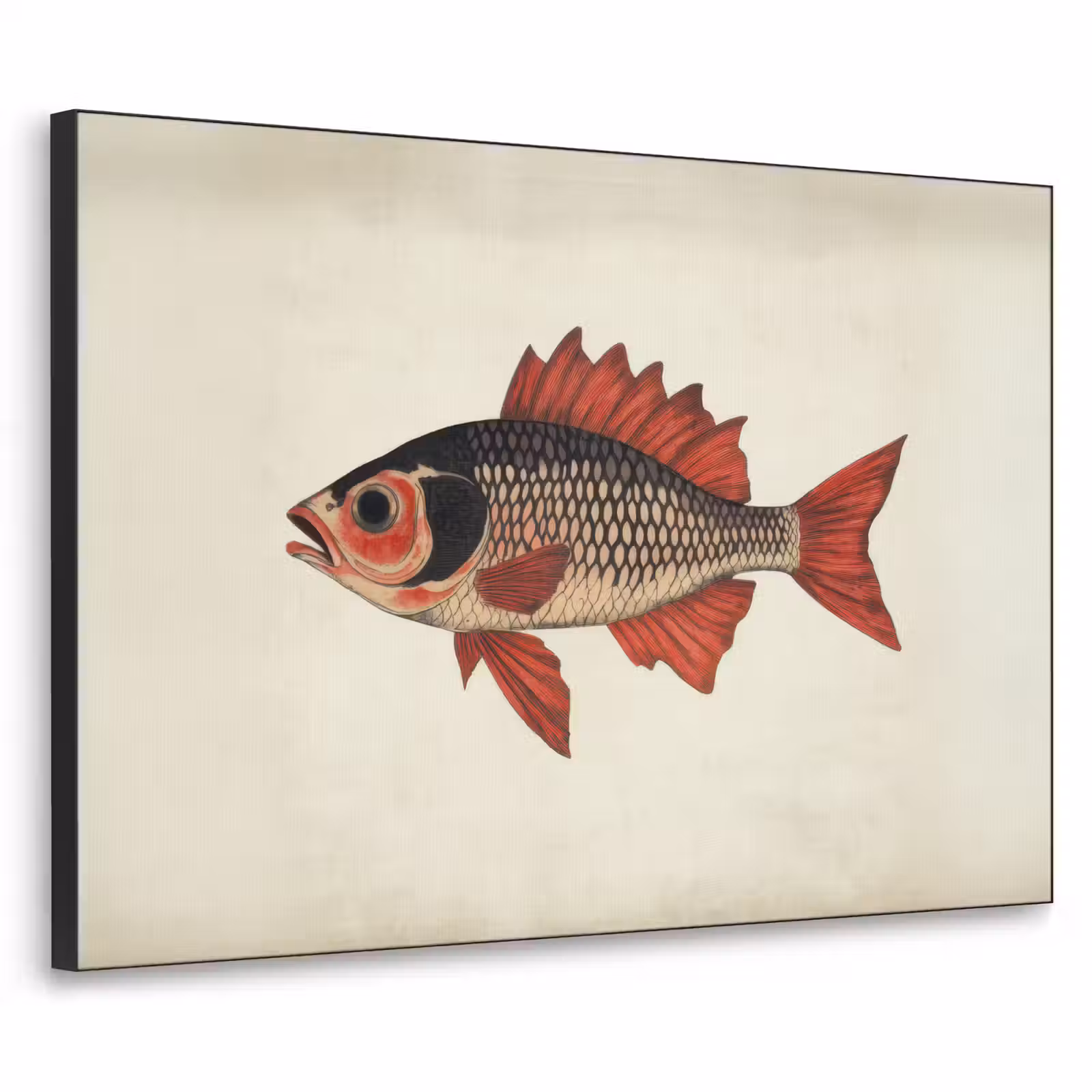 Art Frame - Schubben - Rood - Vis - Vinnen — 1