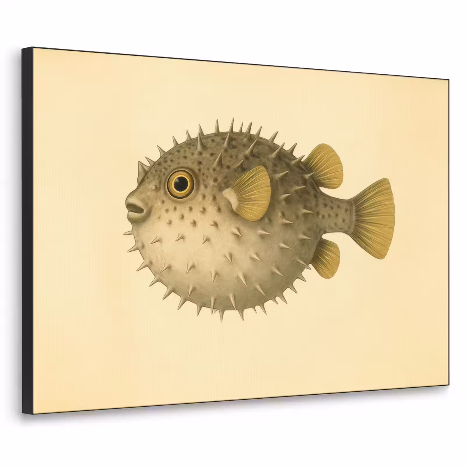 Art Frame - Stekels - Vis - Opgeblazen - Bruin — 1