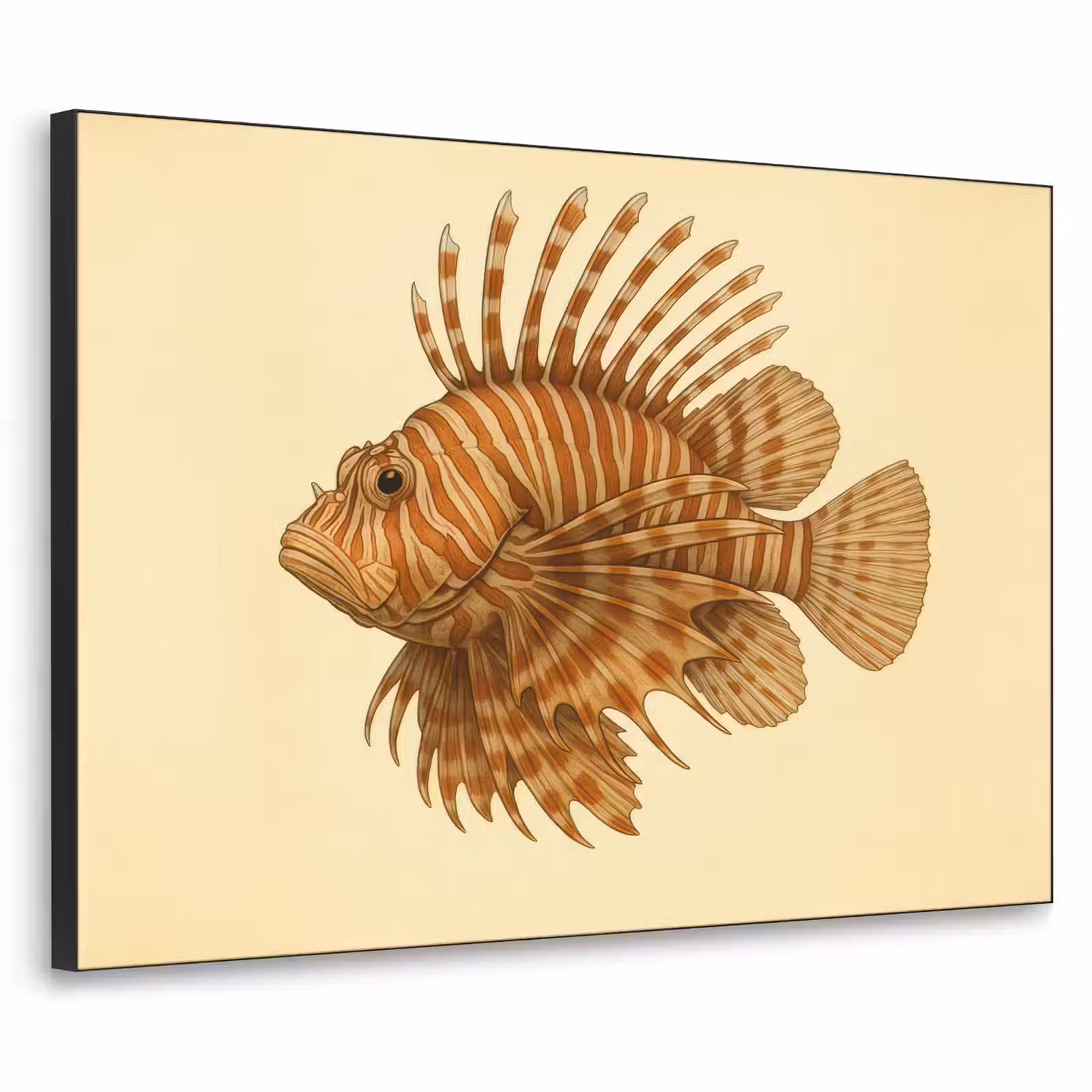 Art Frame - Strepen - Vis - Rond - Stekels — 1
