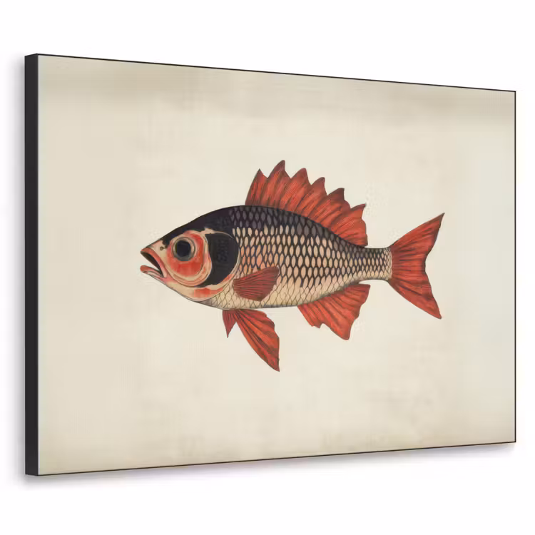 Art Frame - Schubben - Rood - Vis - Vinnen — 1