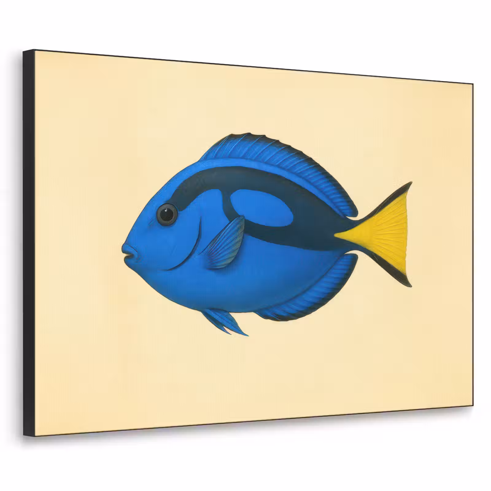 Art Frame - Blauw - Dory - Vis - Staartvin — 1