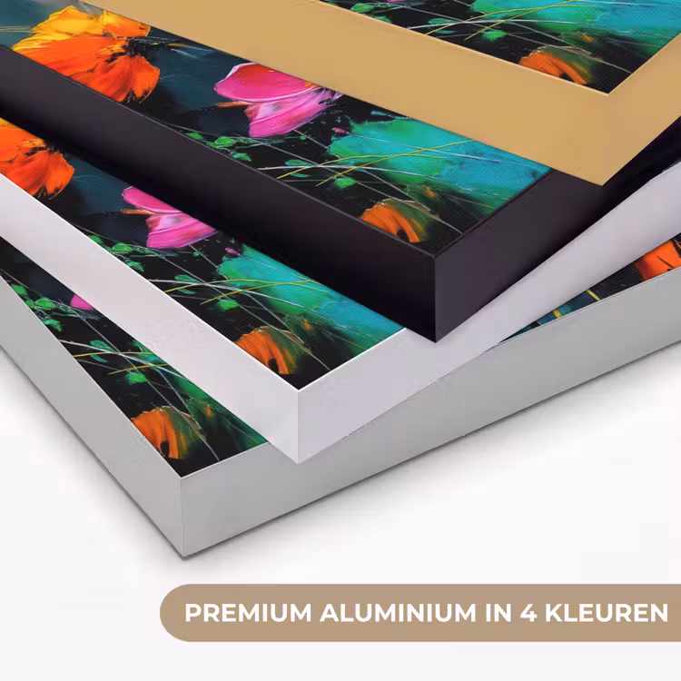 Art Frame - Felgekleurd - Bloemblaadjes - Abstract — 2