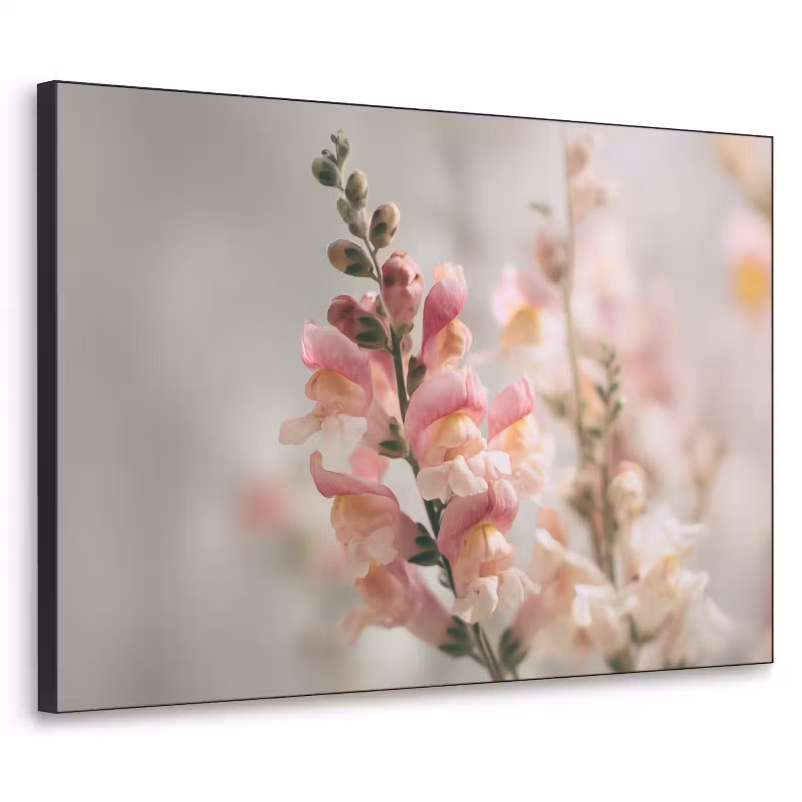 Art Frame - Bloem - Leeuwenbek - Roze - Stengel — 1