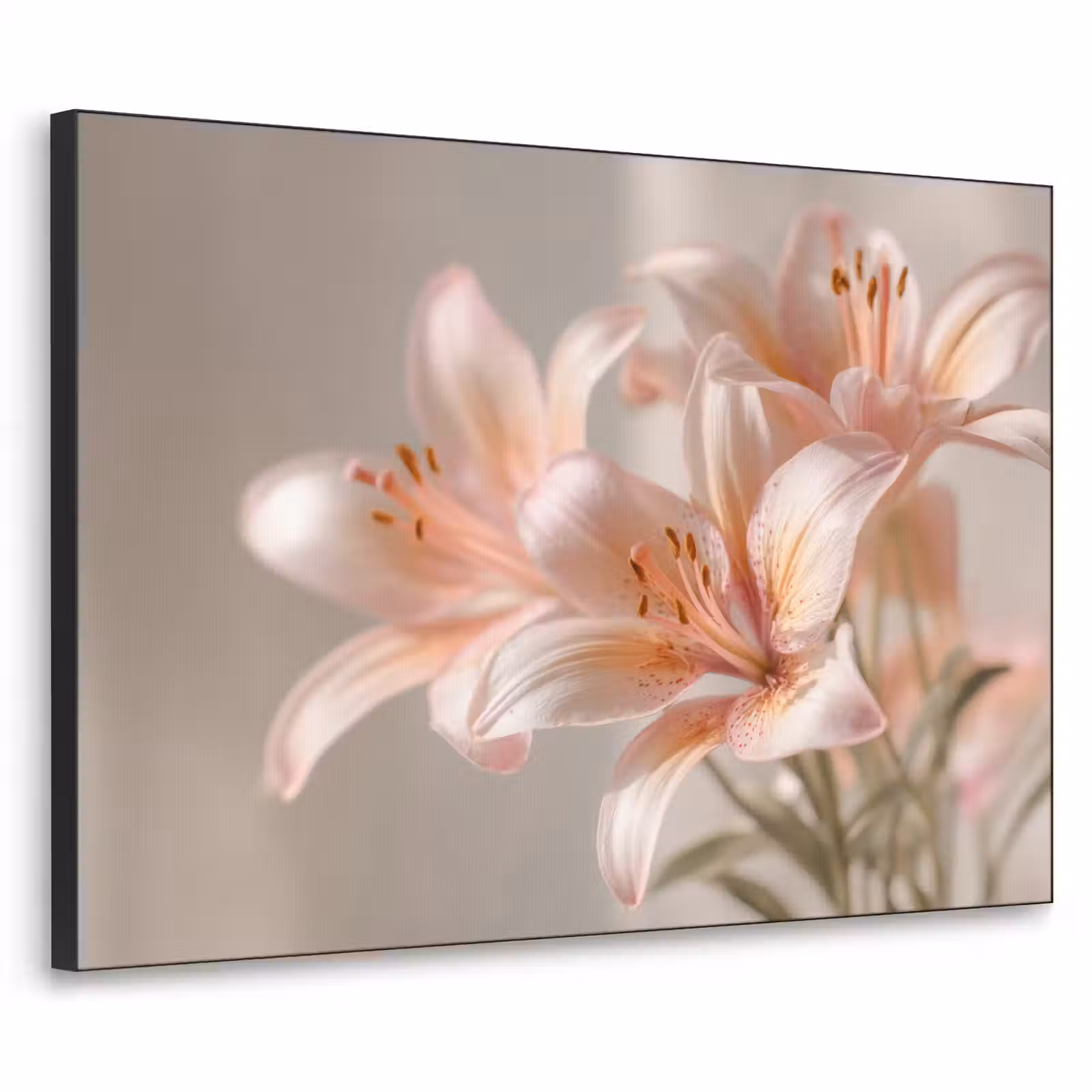 Art Frame - Lelies - Meeldraden - Roze - Wazig — 1