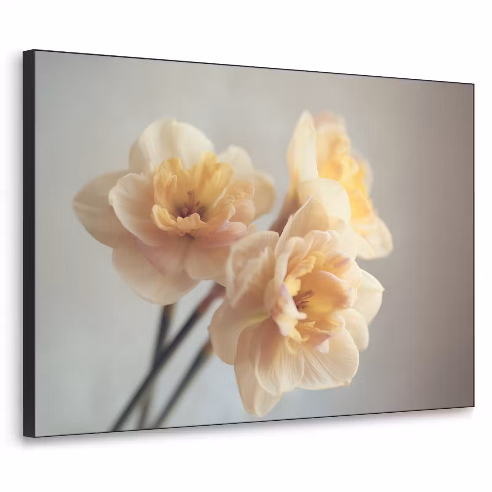 Art Frame - Narcissen - Geel - Bloemblaadjes — 1