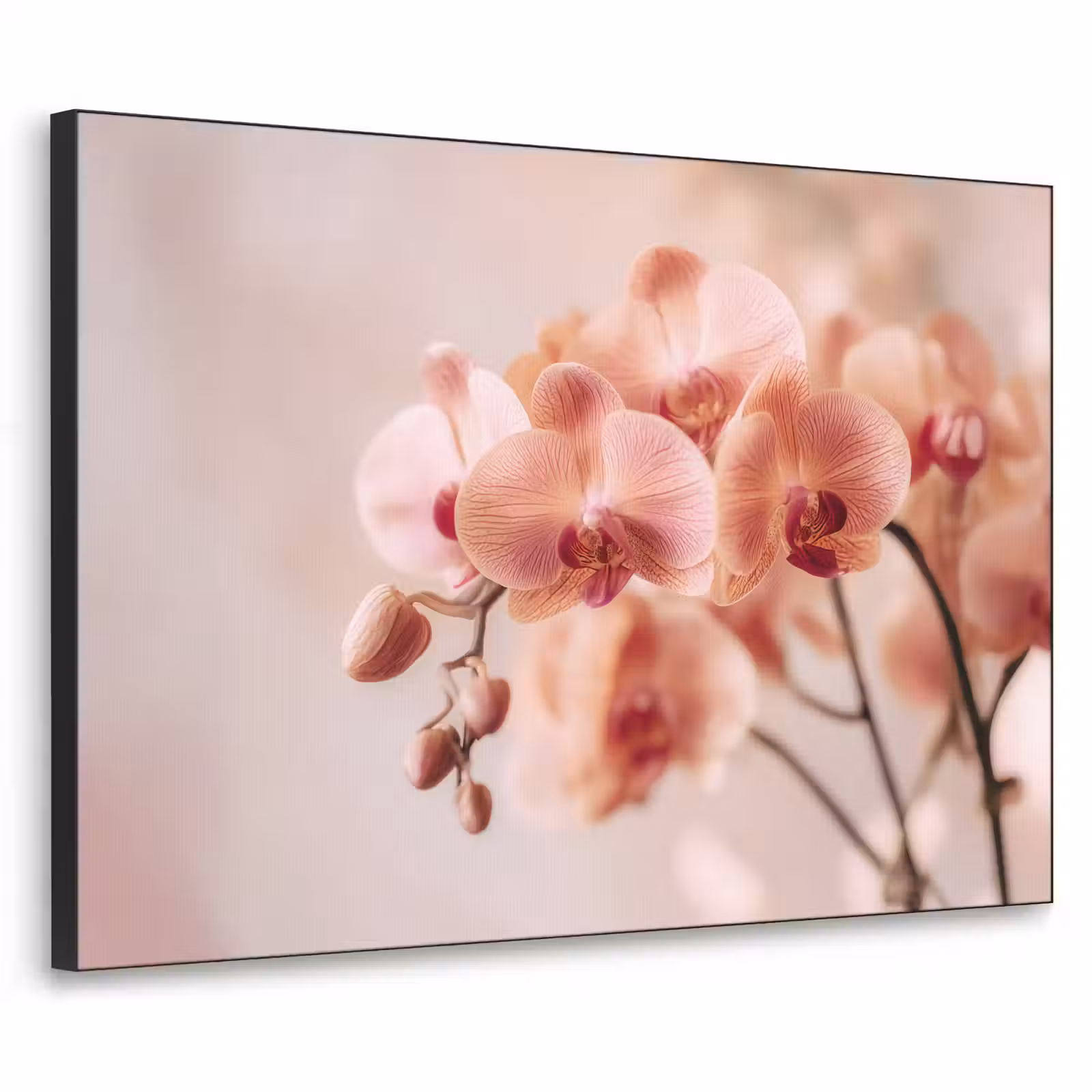 Art Frame - Orchidee - Bloemen - Roze - Bloemblaadjes — 1