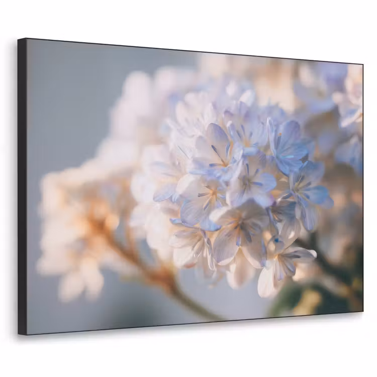 Art Frame - Bloemen - Lichtblauw - Wazig - Trosje — 1