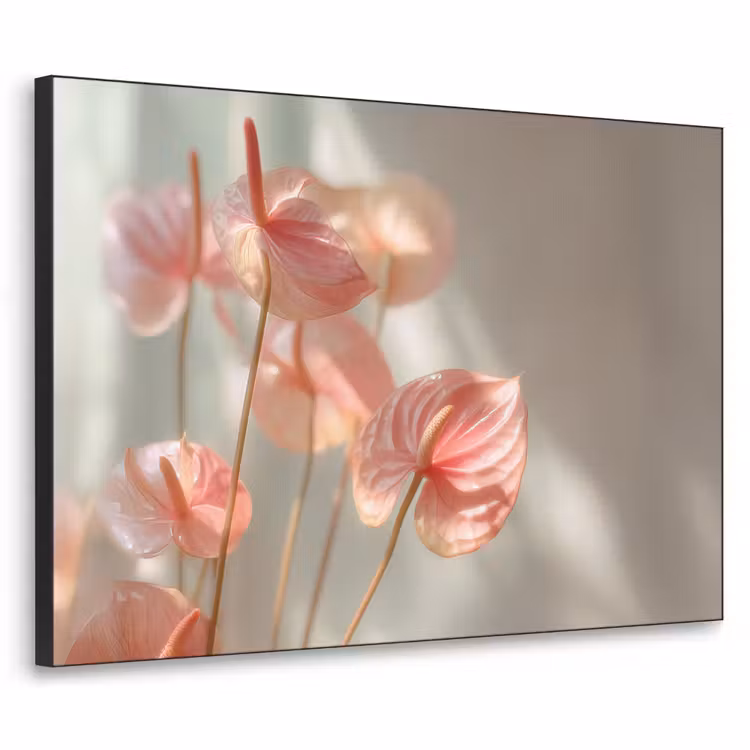 Art Frame - Bloemen - Stelen - Roze - Schaduw — 1