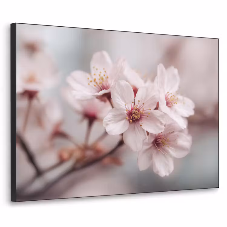 Art Frame - Bloesems - Meeldraden - Geel - Wazig — 1