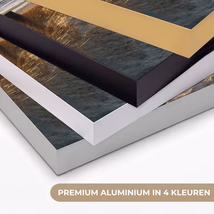 Art Frame - Strand - Zee - Nederland - Duinen - Zon — 2