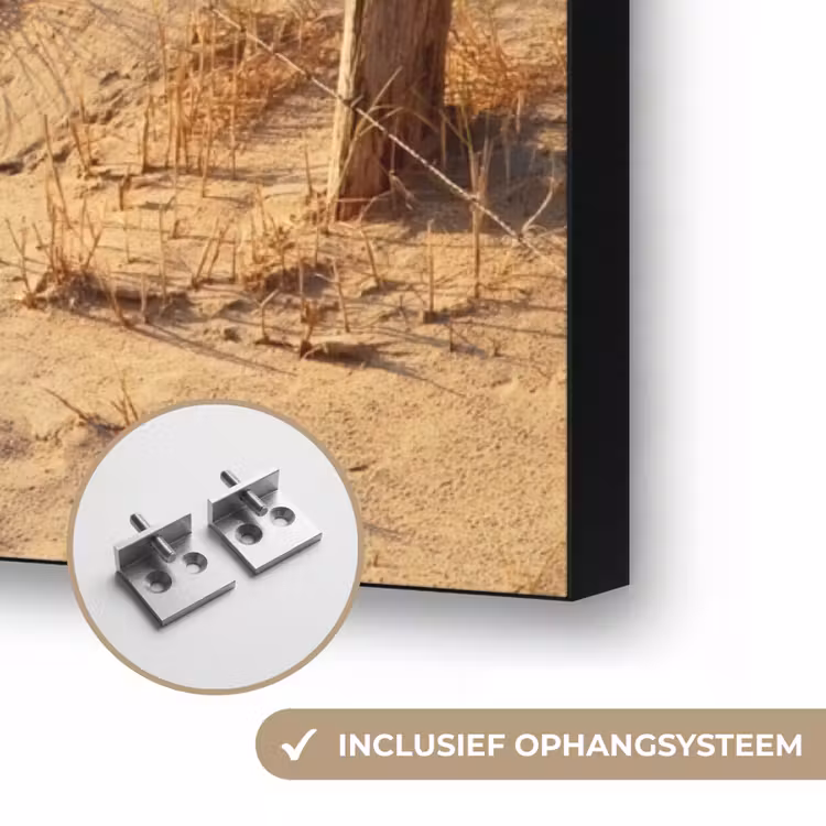 Art Frame - Strand - Zee - Nederland - Duinen - Zon — 6