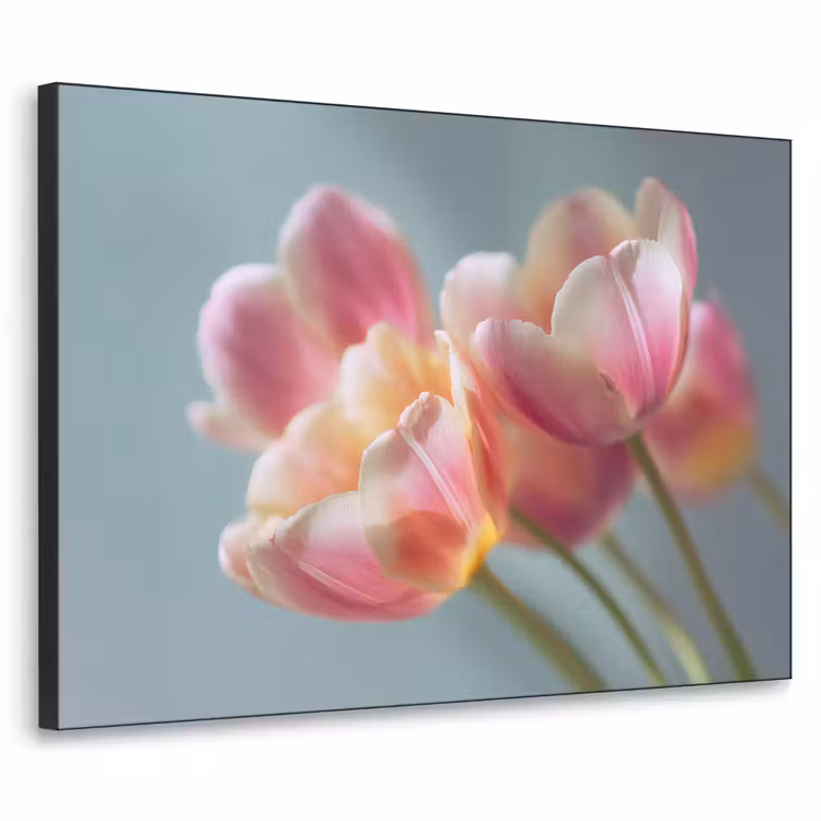 Art Frame - Tulpen - Roze - Stelen — 1