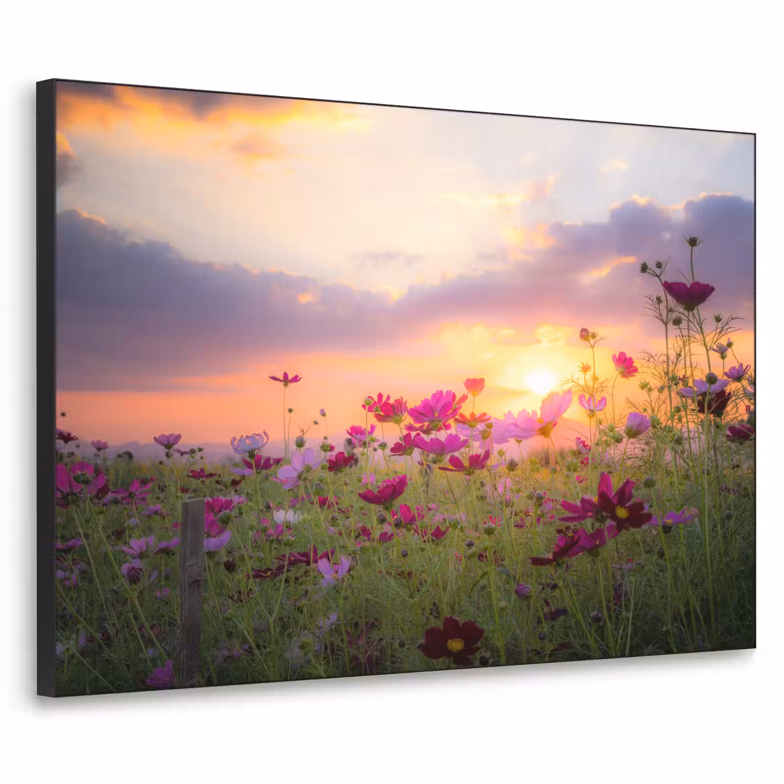Art Frame - Bloemen - Roze - Zonsondergang - Natuur - Weide - Horizon — 1