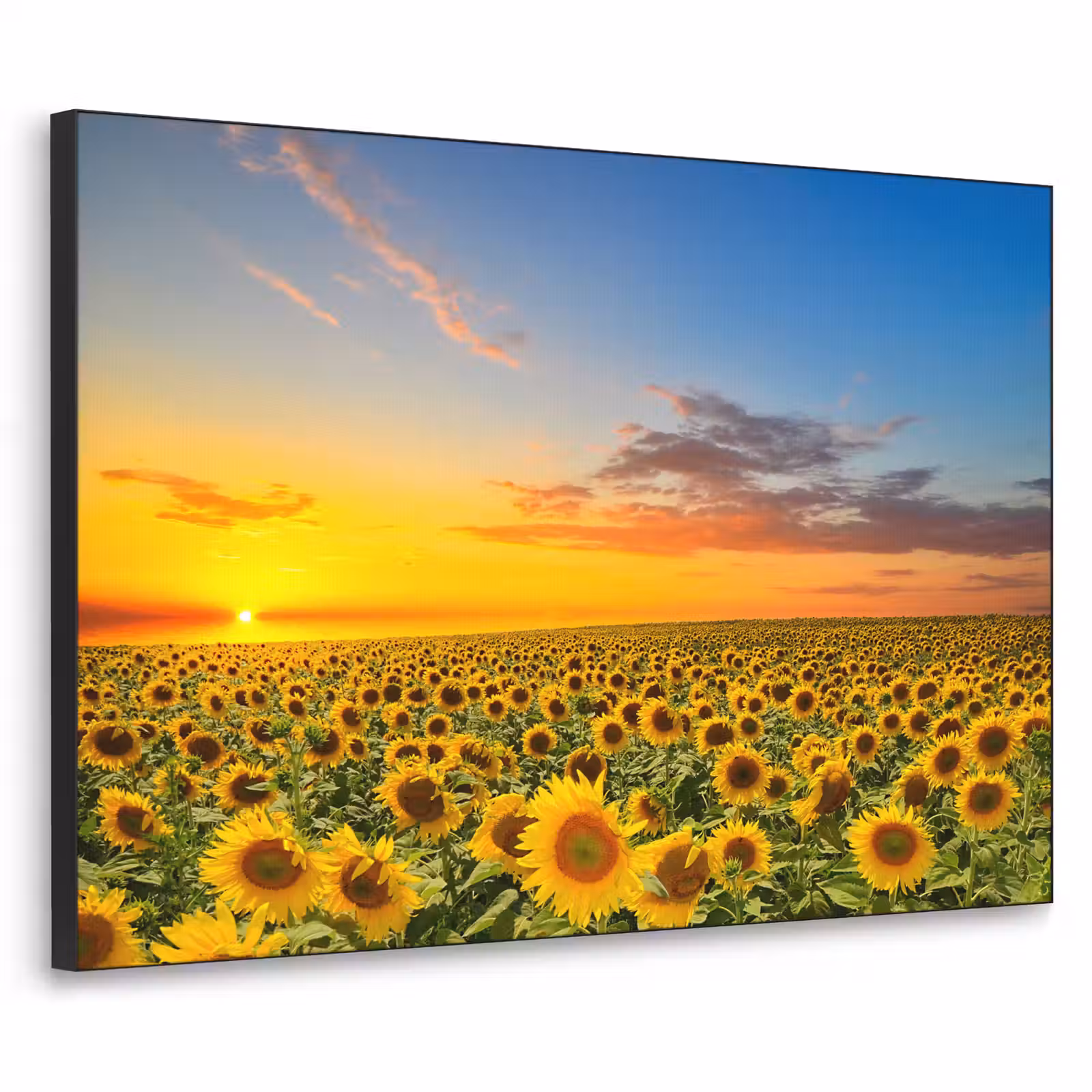 Art Frame - Bloemen - Zonnebloem - Zonsondergang - Nacht - Oranje — 1