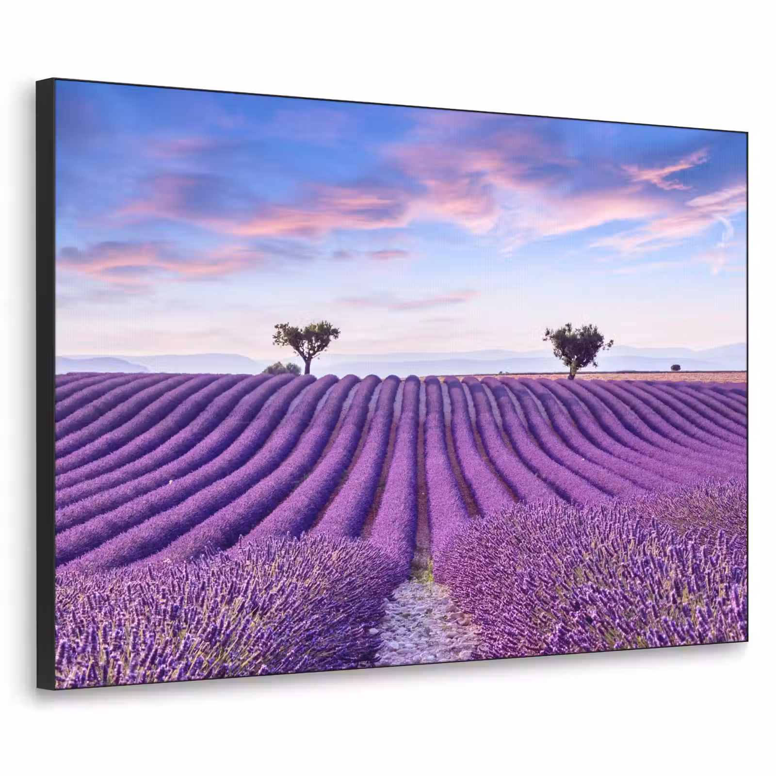 Art Frame - Lavendel - Natuur - Paars - Bomen - Bloemen — 1