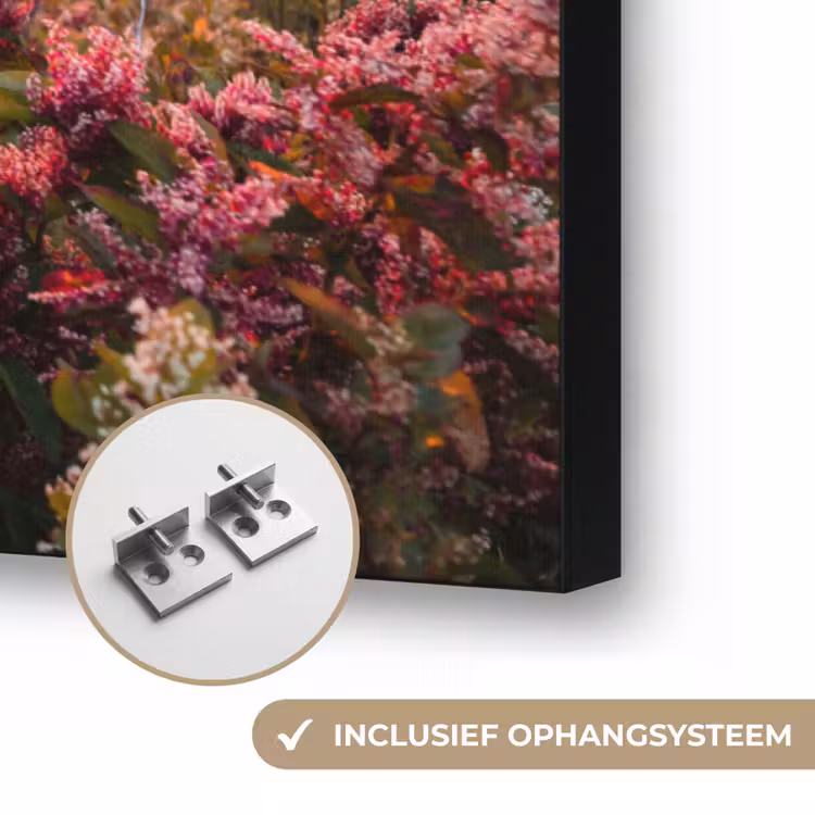 Art Frame - Bloemen - Bergen - Landschap - Nacht - Lucht - Roze — 6