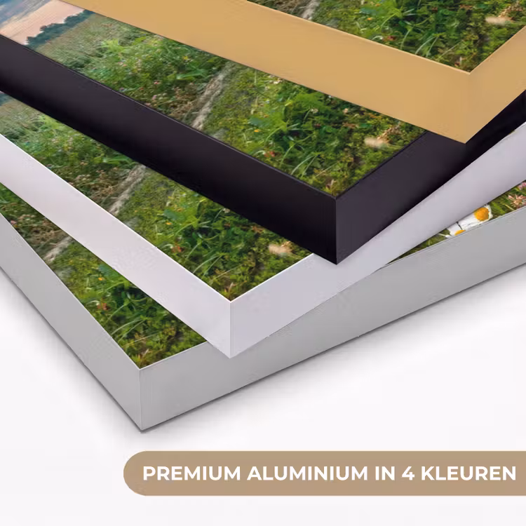 Art Frame - Bloemen - Madelief - Natuur - Zon - Horizon — 2