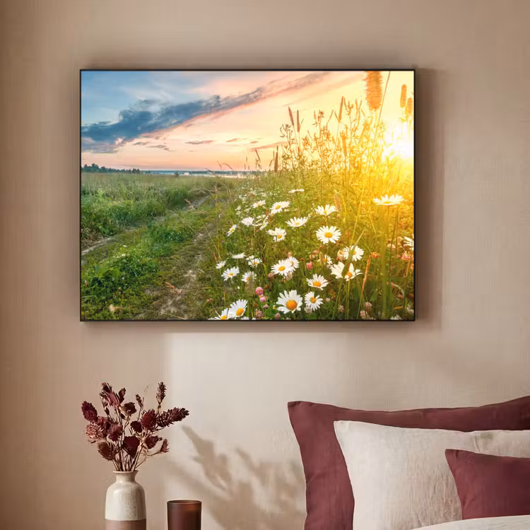 Art Frame - Bloemen - Madelief - Natuur - Zon - Horizon — 3