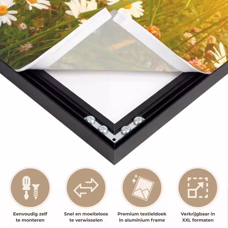 Art Frame - Bloemen - Madelief - Natuur - Zon - Horizon — 4