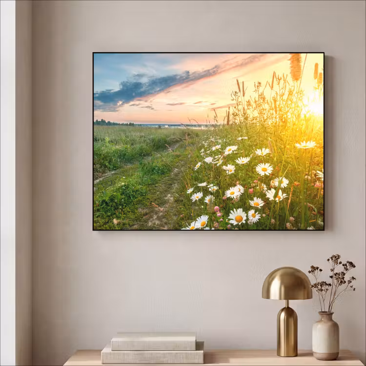 Art Frame - Bloemen - Madelief - Natuur - Zon - Horizon — 5