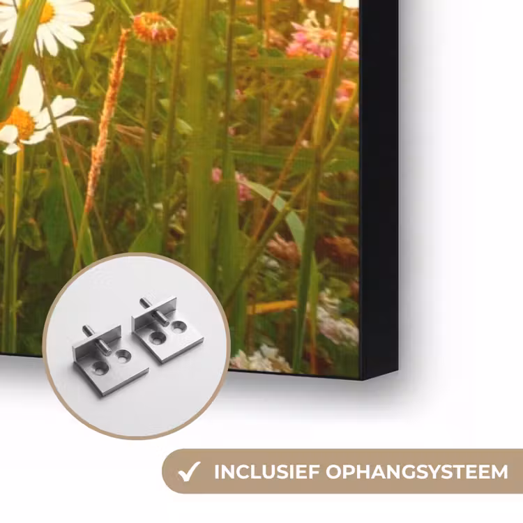 Art Frame - Bloemen - Madelief - Natuur - Zon - Horizon — 6