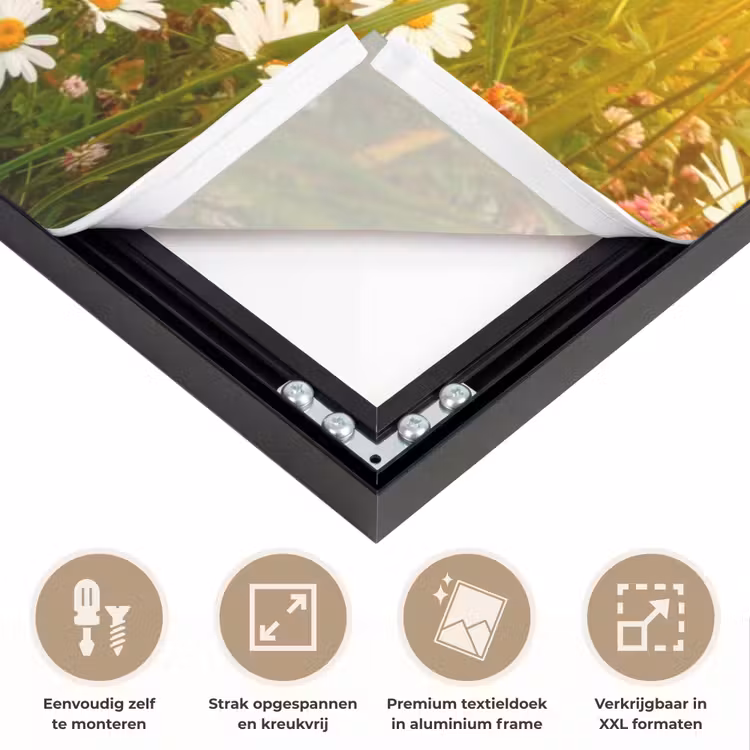 Art Frame - Bloemen - Madelief - Natuur - Zon - Horizon — 8