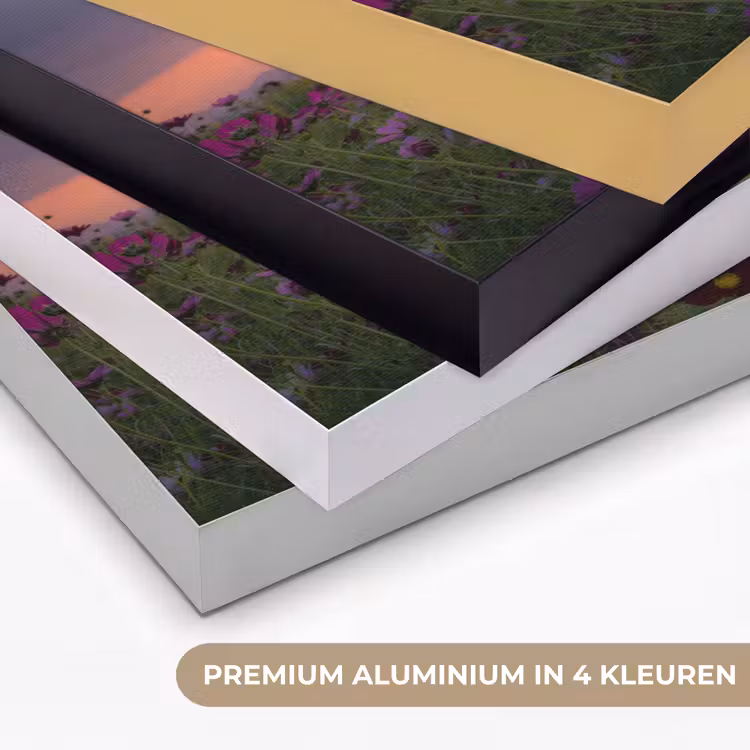 Art Frame - Bloemen - Roze - Zonsondergang - Natuur - Weide - Horizon — 2