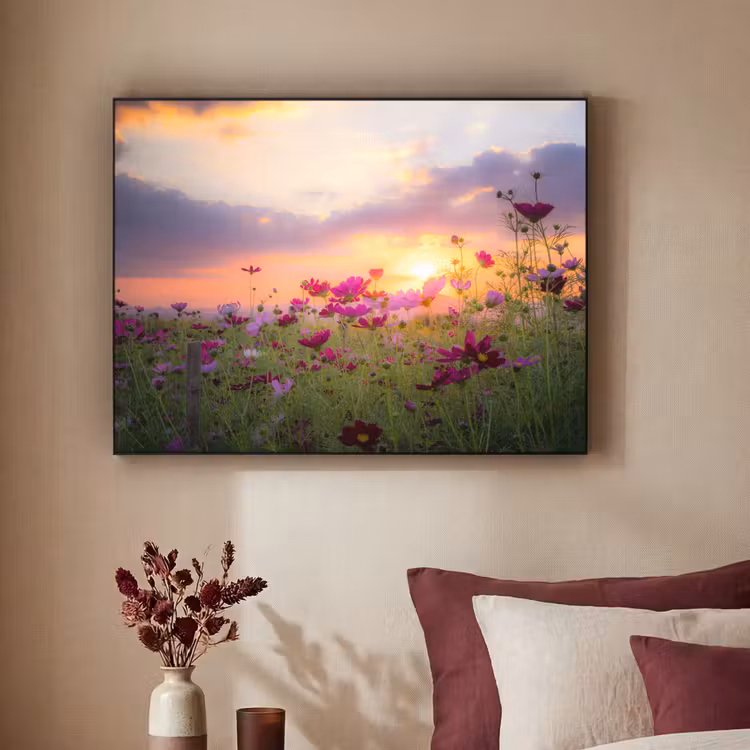 Art Frame - Bloemen - Roze - Zonsondergang - Natuur - Weide - Horizon — 3