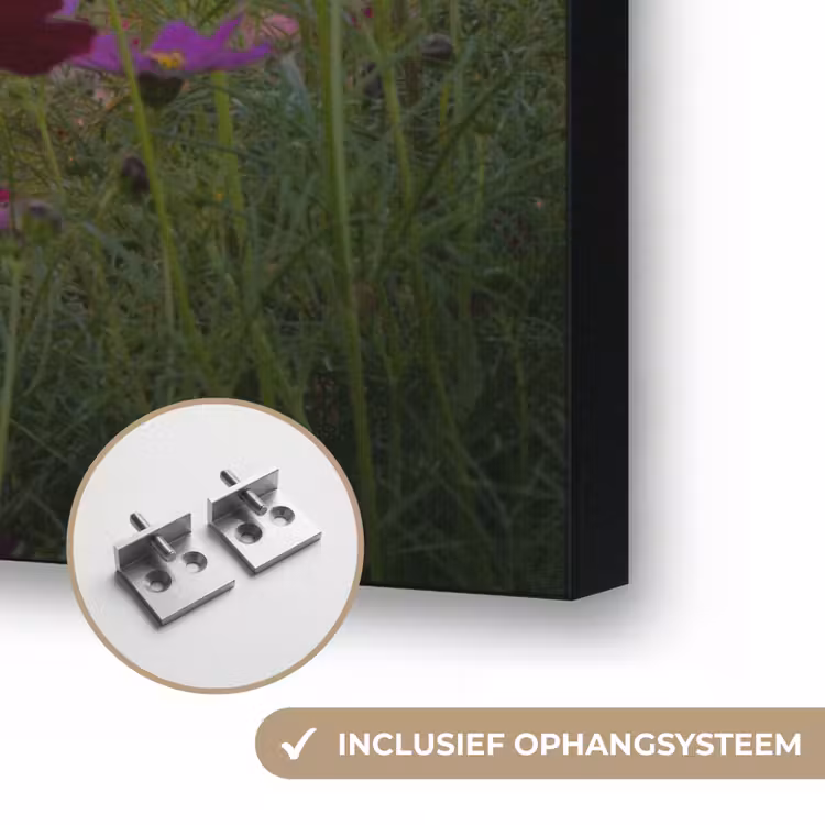 Art Frame - Bloemen - Roze - Zonsondergang - Natuur - Weide - Horizon — 6