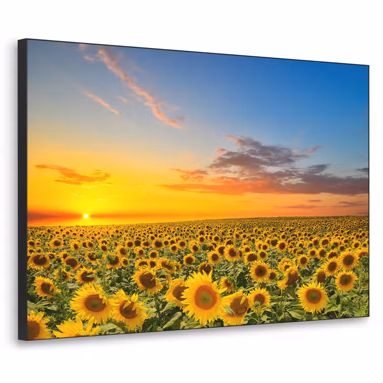 Art Frame - Bloemen - Zonnebloem - Zonsondergang - Nacht - Oranje — 1