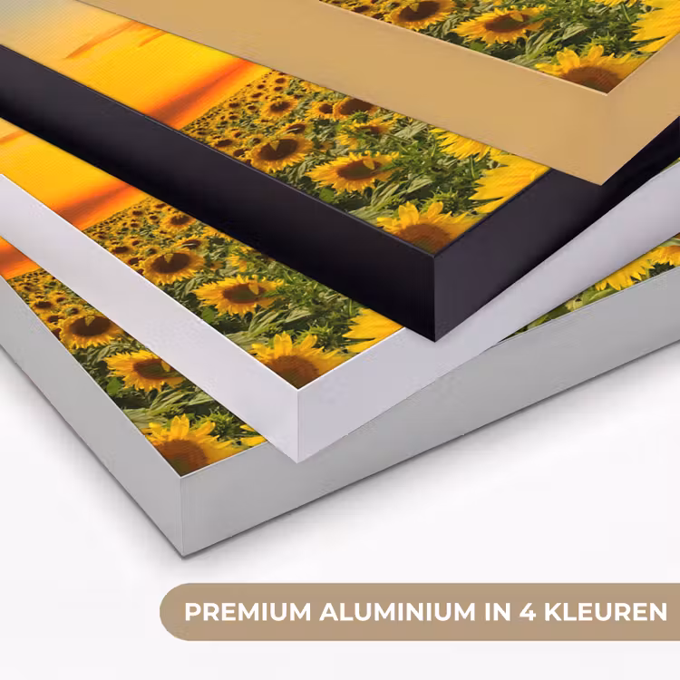 Art Frame - Bloemen - Zonnebloem - Zonsondergang - Nacht - Oranje — 2